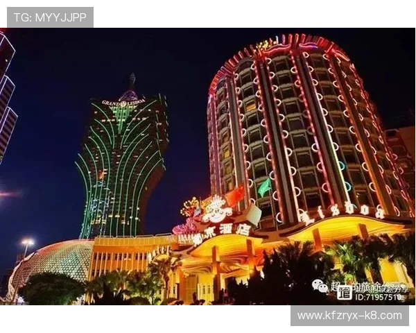 葡京网址最新入口，安全稳定的在线博彩平台推荐